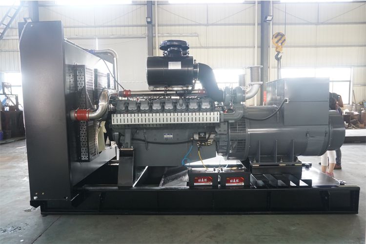 威曼700KW柴油发电机组DE30A10