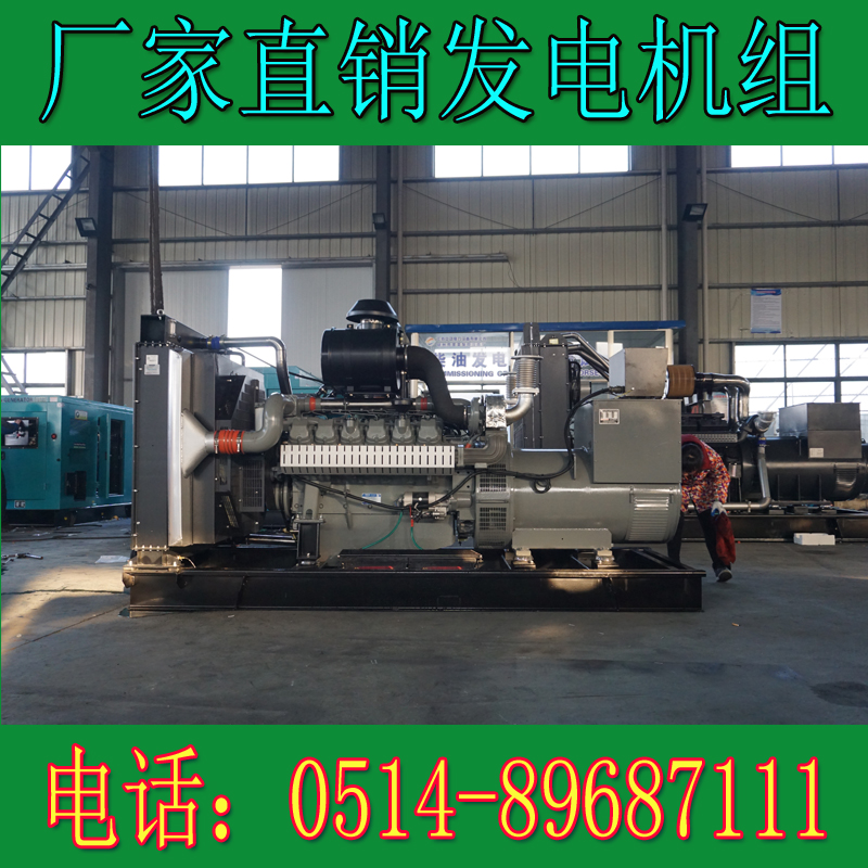 威曼300KW柴油发电机组DE15A50